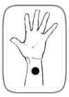 akupunkturna tacka na ruci